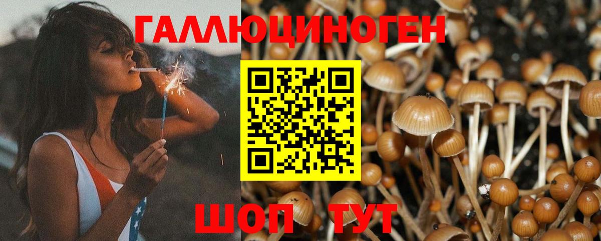 Уварово  Псилоцибиновые грибы GOLDEN TEACHER  Галлюциногенные грибы прущие грибы  Вход с VPN 